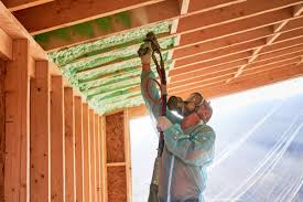 Best Insulation for Existing Homes  in Leesburg, FL